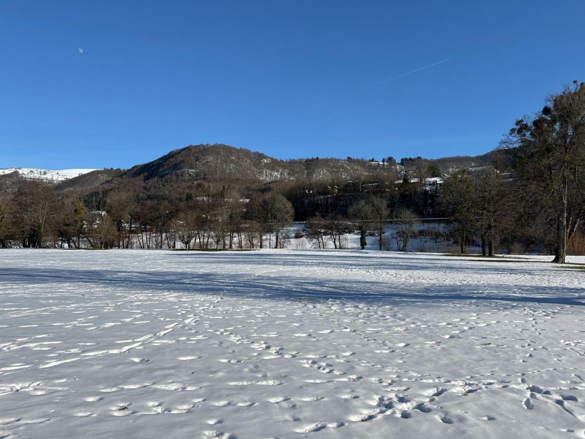 Belle Maison De Ville Au Coeur Du Village De Montagne Vic-sur-Cère 외부 사진