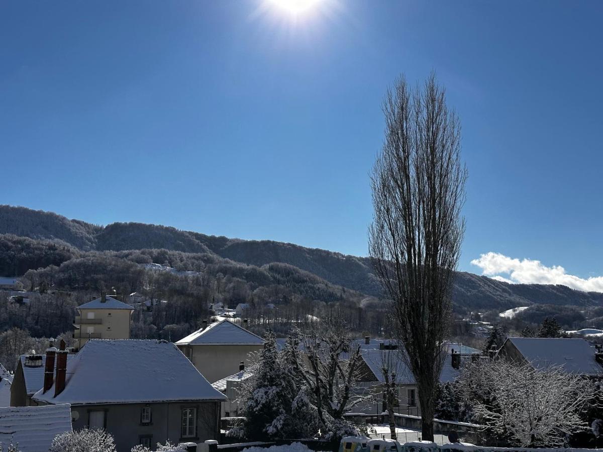 Belle Maison De Ville Au Coeur Du Village De Montagne Vic-sur-Cère 외부 사진